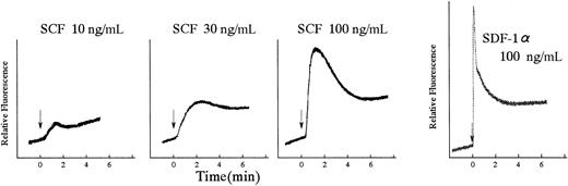 Fig. 1. SCF induced the increase of the intracellular Ca2+concentration. / Ca2+ influx in BAF3/KIT cells induced by SCF or SDF-1α. Cells were loaded with Indo 1-AM for 30 minutes at 37°C and stimulated by SCF at the indicated concentrations or SDF-1α (100 ng/mL). The intracellular Ca2+ concentration was monitored by measuring the relative fluorescence using a spectrofluorometer. Similar results were obtained from 3 independent experiments.
