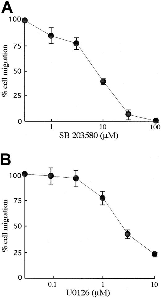Fig. 6. The effects of MAPK inhibitors on SCF-induced migration. / BAF3/KIT cells were preincubated with p38 MAPK inhibitor, SB203580, or MEK1/2 inhibitor, U0126 for 30 minutes and induced for migration with 30 ng/mL SCF. Results were calculated as percentages to the migration without inhibitor. The results are shown as the means ± SD of triplicate cultures. Similar results were obtained from 3 independent experiments.