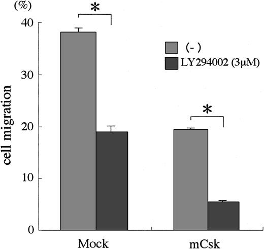 Fig. 9. SFKs and PI3K cooperate on SCF signaling for cell migration. / BAF3/KIT cells expressing WT Csk or control vector were untreated or preincubated with 3 μM LY294002 for 30 minutes. Cells were then tested for migration in the presence of 30 ng/mL SCF in the lower chamber. Cells that migrated into the lower chamber were counted and expressed as a percentage for the whole applied cells. The results are shown as the means ± SD of triplicate cultures. The asterisk represents a significant difference from a control value (P < .01). Similar results were obtained from 3 independent experiments.