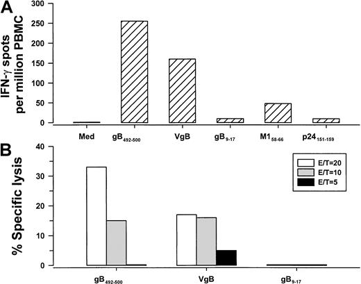 Fig. 2. IFN-γ production and CTL reactivity. / IFN-γ production (A) and CTL reactivity (B) at 3 E/T ratios in PBMCs from group A subject 29 (HLA A*0201, HHV-8 seropositive) specific for gB492-500 peptide and the corresponding gB protein produced by VgB. The controls for the IFN-γ assay were HLA A*0201 peptides for HHV-8 gB9-17, influenza A virus M158-66, and HIV-1 p24 Gag151-159. Med indicates medium control.
