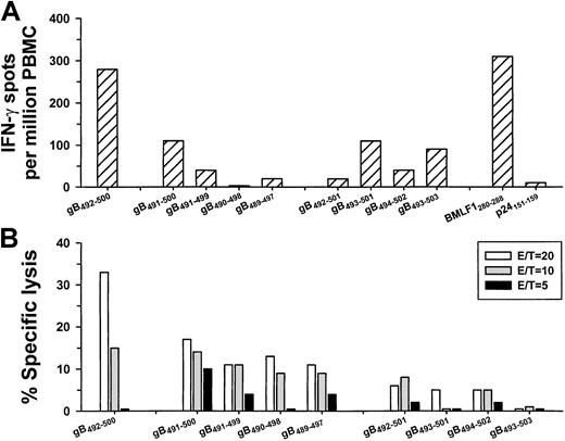 Fig. 4. IFN-γ production and CTL lysis induced by 9-mer gB492-500. / IFN-γ production (A) and CTL activity (B) to overlapping 9-mer and 10-mer peptides for gB492-500 in PBMC from group A subject 29 (HLA A*0201, HHV-8–seropositive). HLA A*0201 p24 Gag151-159 and BMLF1280-288 peptides served as negative and positive controls, respectively.