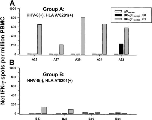 Fig. 5. IFN-γ production to gB492-500 presented by autologous DCs. / PBMCs from 5 group A HHV-8 seropositive (A) and 4 group B HHV-8 seronegative (B), HLA A*0201 subjects were stimulated for 1 day with gB492-500 alone, or for 1 day (S0) or 1 week (S1) with autologous DCs loaded with gB492-500 and matured with CD40L. Median (range) of PBMC responses in the single-cell enzyme immunoassays to medium alone after 1 day = 0 (0-10) and to DCs alone for S0 = 0 (0-10) and S1 = 0 (0-250).