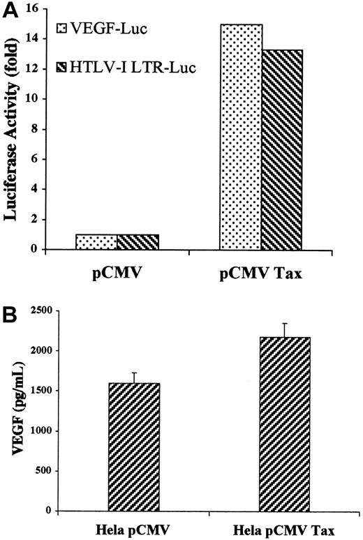 Fig. 4. Effect of Tax transfection on VEGF promoter activity and secretion. / (A) VEGF-Luc or HTLV-I LTR-Luc constructs in pGL-2 corresponding to the luciferase gene under the control of the VEGF promoter or the HTLV-I promoter, respectively, was cotransfected into Jurkat cells with the internal control PSV β-galactosidase and either pCMV-Tax or empty vector. Luciferase activity was quantified 24 hours later and was normalized with the β-galactosidase activity. (B) HeLa cells were transfected with pCMV-Tax or empty vector. Levels of VEGF in the cell supernatant were measured using a commercial ELISA kit.