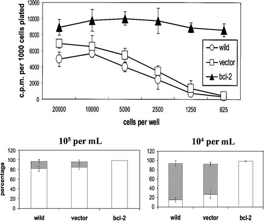 Fig. 1. L3055 cells succumb to apoptosis at low plating densities. / (Upper panel) L3055 cells (wild-type; empty vector controls;bcl-2 transfected) were plated at numbers indicated in flat-bottom microwells containing 200 μL culture medium. DNA synthesis was assessed 5 days later by 3HTdr incorporation during a 4-hour pulse. Results represent the mean (± SE) of 3 separate experiments and are expressed as cpm per 1000 cells plated. (Lower panel) L3055 cells (wild-type; empty vector controls; bcl-2 transfected) were cultured at 105 or 104 per mL as indicated for 3 days and then stained with acridine orange to assess nuclear morphology and trypan blue to assess viability. Results are expressed as the mean percentage (± SE) apoptotic (filled bars) and viable cells (open bars) of 3 separate experiments.