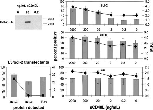 Fig. 3. Influence of sCD40L at different concentrations on the expression of Bcl-2 family members. / L3055 (wild-type) cells at 2 × 105 per mL were cultured for 3 days with concentrations of sCD40L indicated. (Upper left panel) Lysates were prepared and equal protein loadings (50 μg) subjected to Western blotting for Bcl-2 protein on 12.5% gels as described in “Materials and methods”; molecular weight markers are indicated to the right. (Right panels) Cells were harvested and stained for the expression of Bcl-2 (upper), Bcl-xL (middle), Bax (lower) and analyzed by FACS as described in “Materials and methods.” Results are given as means (with SE) of 3 separate experiments with percentage of cells positive shown as histograms and the mean fluorescence intensities (MFI) of positively gated cells as symbols. (Lower left panel) The levels of Bcl-2, Bcl-xL, and Bax expression in L3055 cells transfected with bcl-2 as determined by FACS analysis.