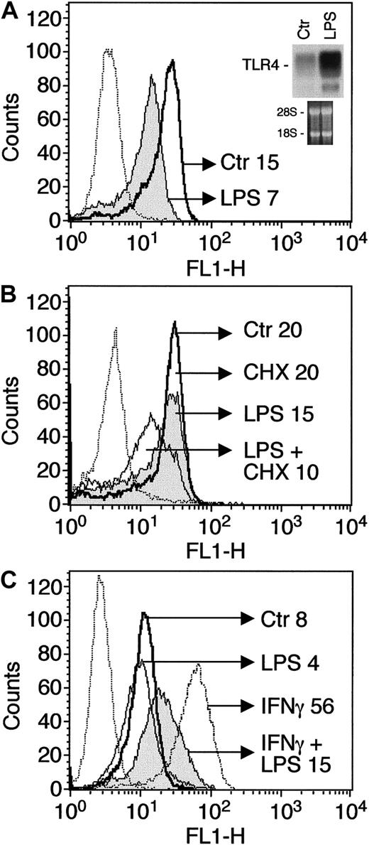 Fig. 3. Divergent effects of LPS on TLR4 mRNA and surface protein levels. / (A) Surface expression of TLR4 in human monocytes exposed to LPS (100 ng/mL) or medium alone (Ctr) for 24 hours. The insert shows TLR4 mRNA levels after 4 hours of treatment (see also references 20 and 24). (B) TLR4 surface expression in human monocytes exposed for 4 hours to LPS (100 ng/mL) or CHX (10 μg/mL), or to a combination of the 2. (C) TLR4 surface expression in human monocytes exposed for 24 hours to the combination of IFNγ (500 U/mL) and LPS (100 ng/mL). MCF is indicated for each treatment. Dotted line indicates irrelevant control mAb.