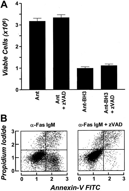 Fig. 7. Effect of known caspases on Bak-BH3–induced erythrocyte cell death. / Bak-BH3–induced erythrocyte cell death occurs independently of known caspases. (A) First, 5 × 106 erythrocytes were incubated in SFM in the presence or absence of 80 μM zVAD. Following 15 minutes of incubation, 50 mM Ant or Ant-BH3 was added to the cell suspension. Cell number was determined at 0 and 24 hours in triplicate. Results are expressed as mean cell number ± SD and represent the 24-hour time point. (B) The α-Fas IgM–treated Jurkat cells were used as a control for zVAD. The percentages 21% and 1% represent the percentage of cells that have bound annexin-V FITC in the absence and presence of zVAD, respectively.