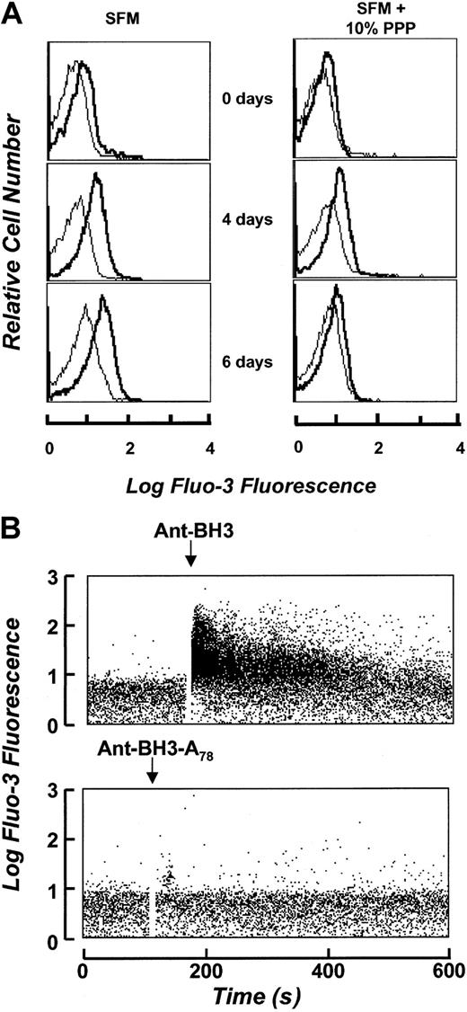 Fig. 8. BH3 peptide–induced cell death and intracellular calcium in erythrocytes. / Induction of cell death by the BH3 peptide increases erythrocyte intracellular calcium. (A) Intracellular calcium levels as determined by the Fluo-3 AM probe. Erythrocytes cultured in the presence and absence of plasma were loaded with the calcium probe Fluo-3 AM and analyzed by flow cytometric analysis immediately following initial cell culture and at 4 and 6 days respectively. The thin line represents erythrocyte autofluorescence. Fluo-3 fluorescence is represented in bold. (B) Intracellular calcium levels in the presence of Ant-BH3 and Ant-BH3-A78. Fluo-3 fluorescence is represented over time prior to and following addition of the peptides.