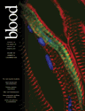 Blood Cover Image for Volume 104, Issue 12