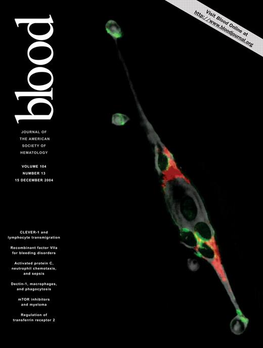 Blood Cover Image for Volume 104, Issue 13