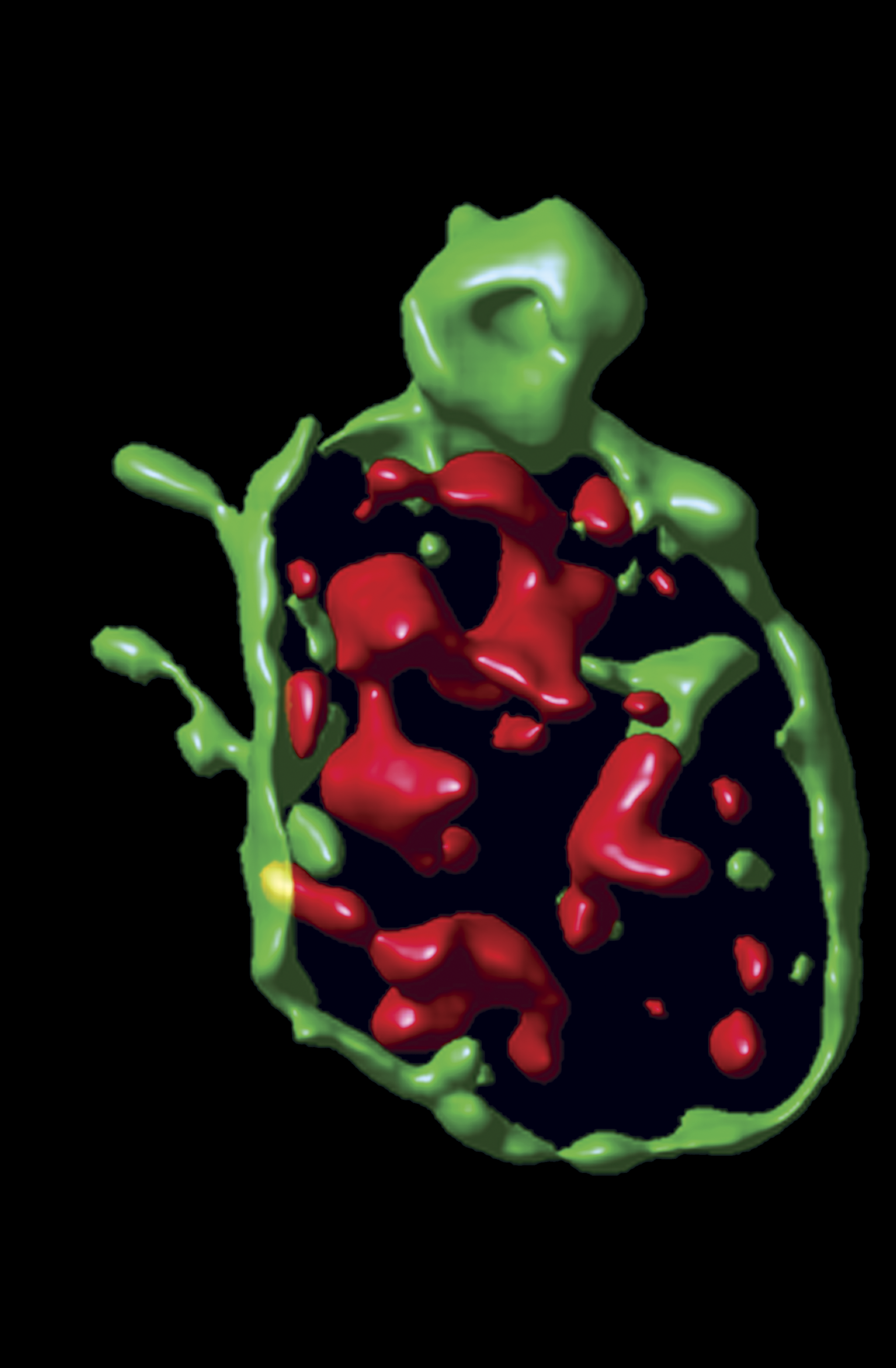 issue cover