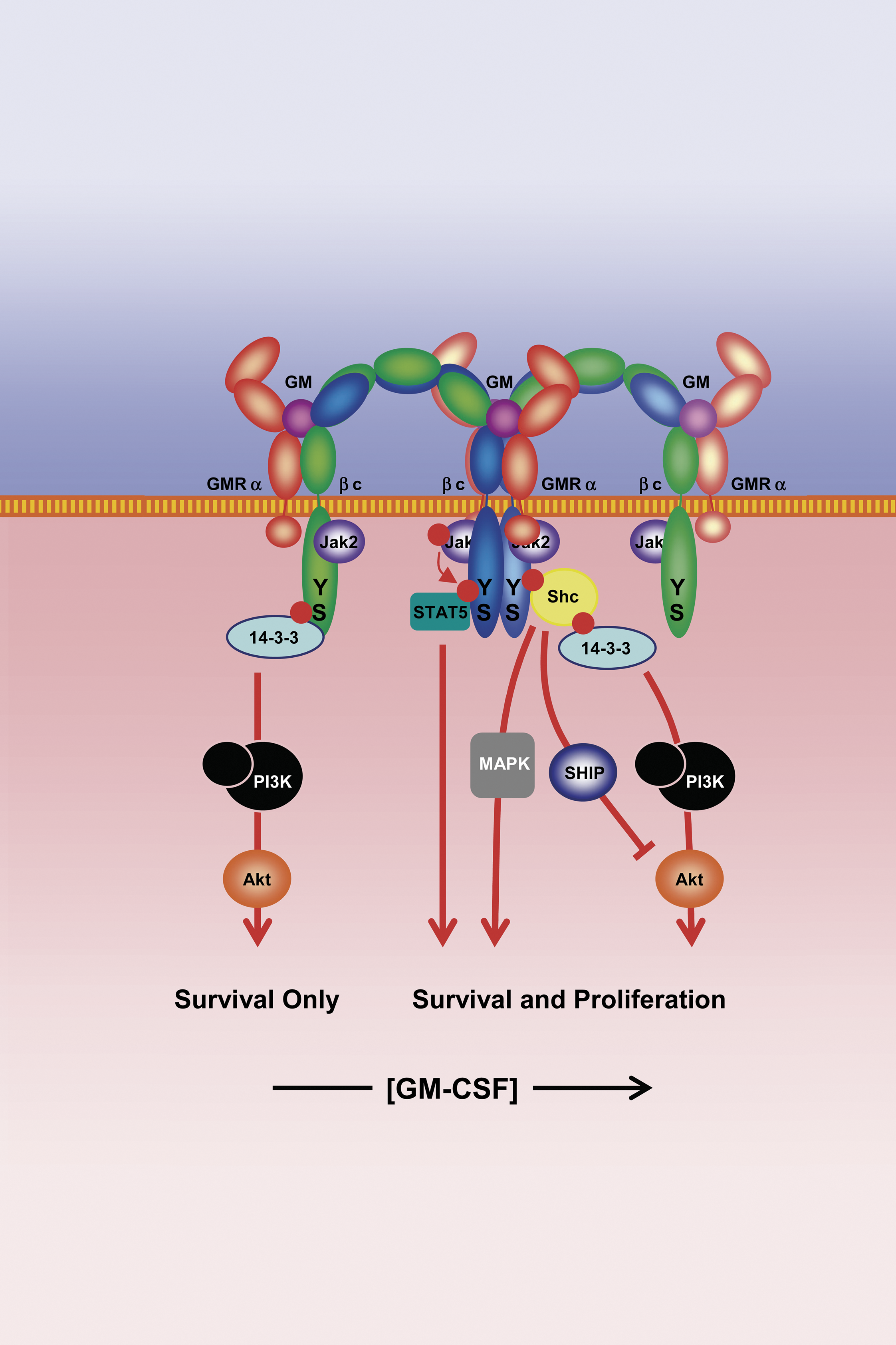 issue cover