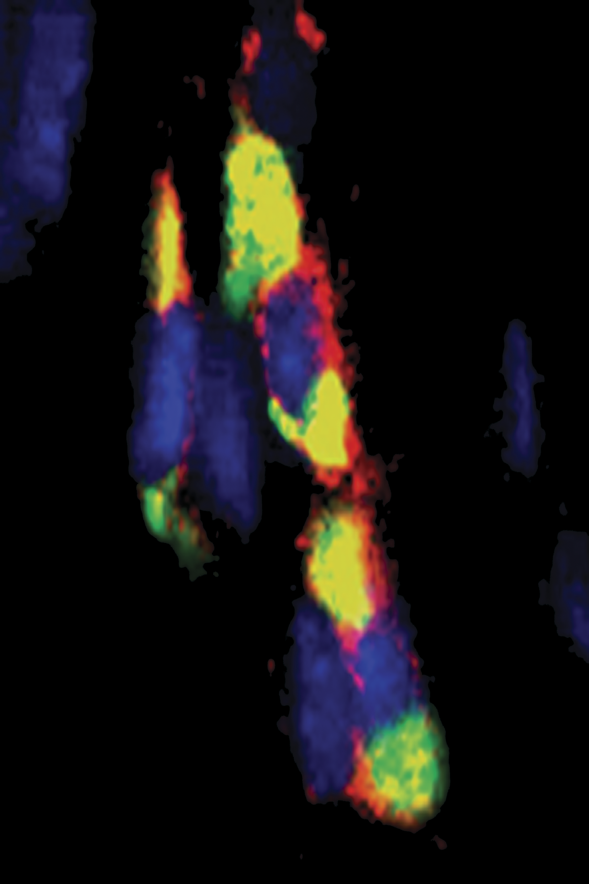 issue cover