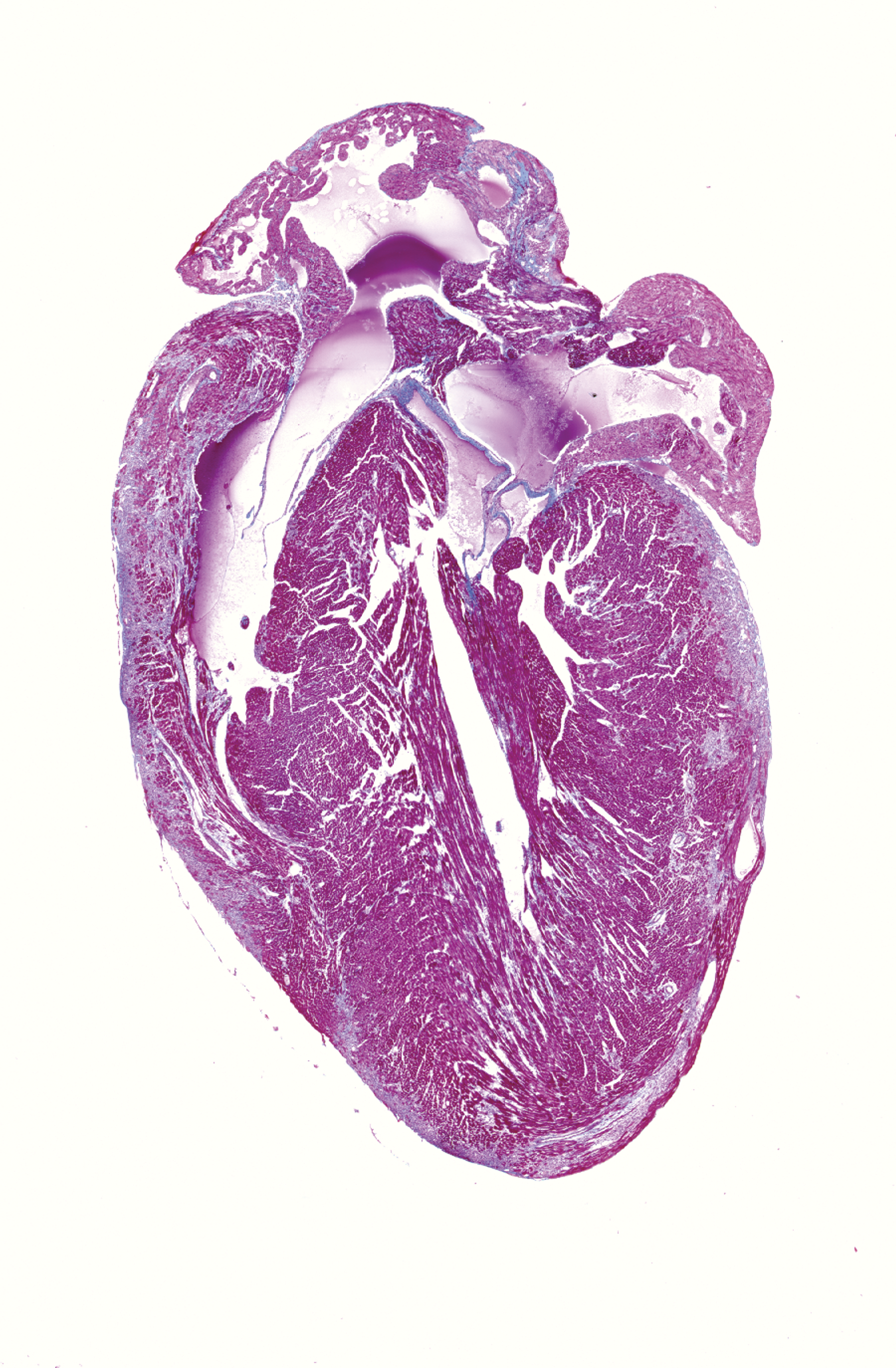 issue cover