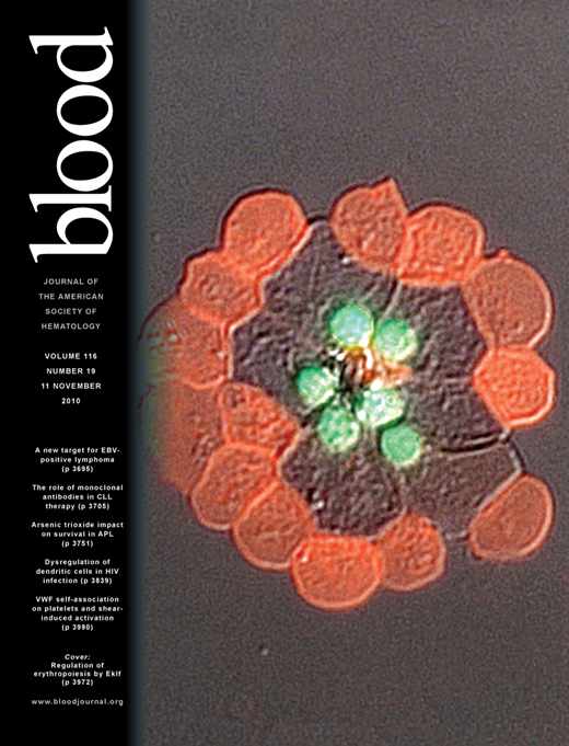 Blood Cover Image for Volume 116, Issue 19