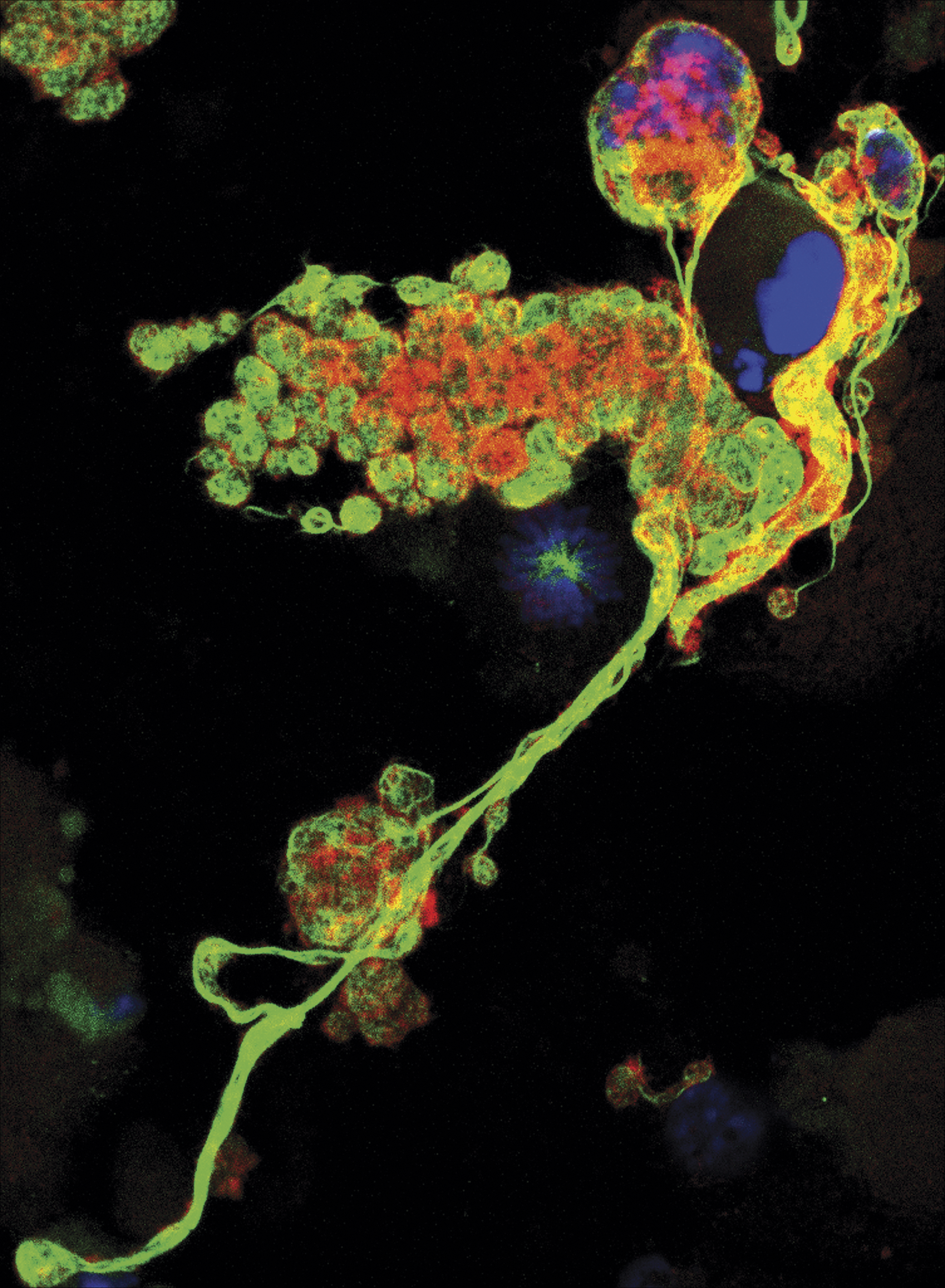 issue cover