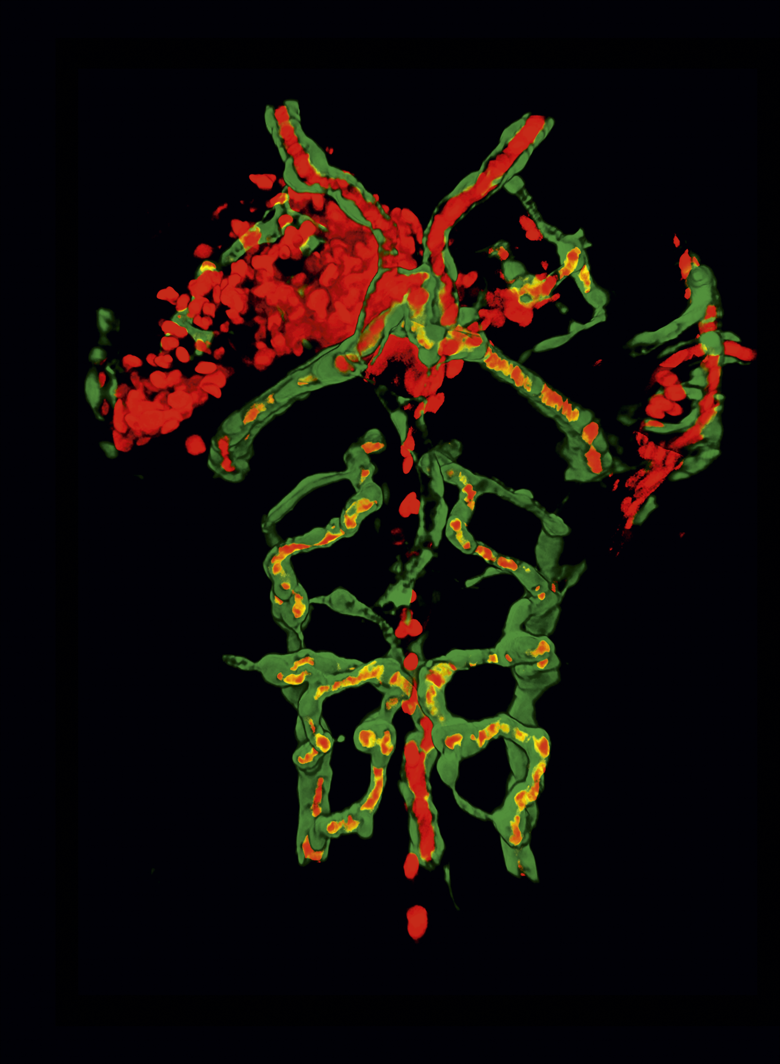 issue cover