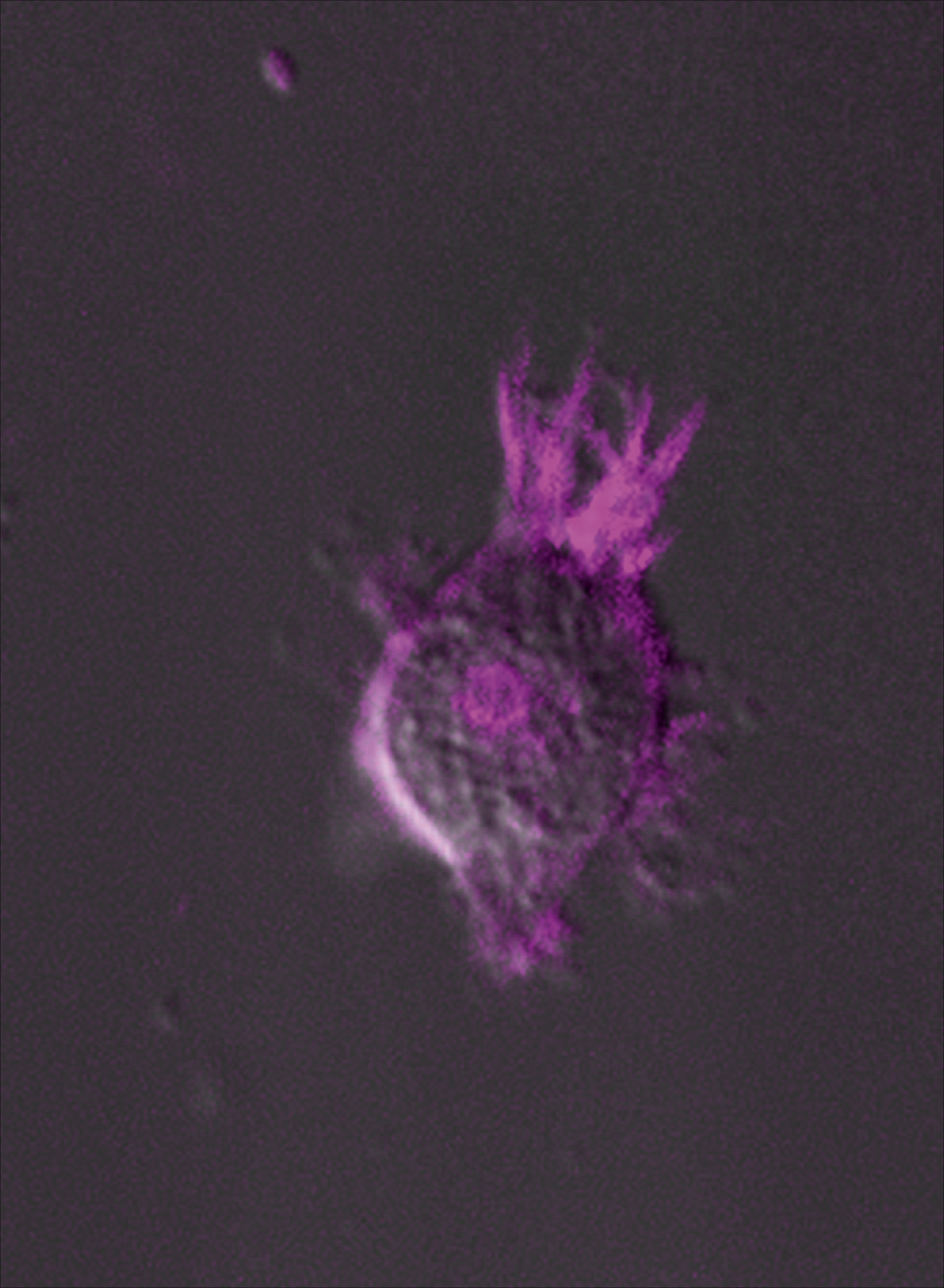 issue cover