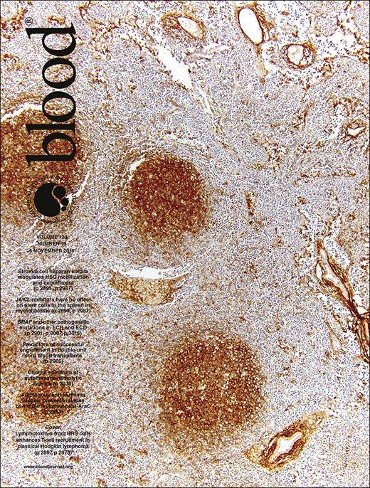 Blood Cover Image for Volume 124, Issue 19