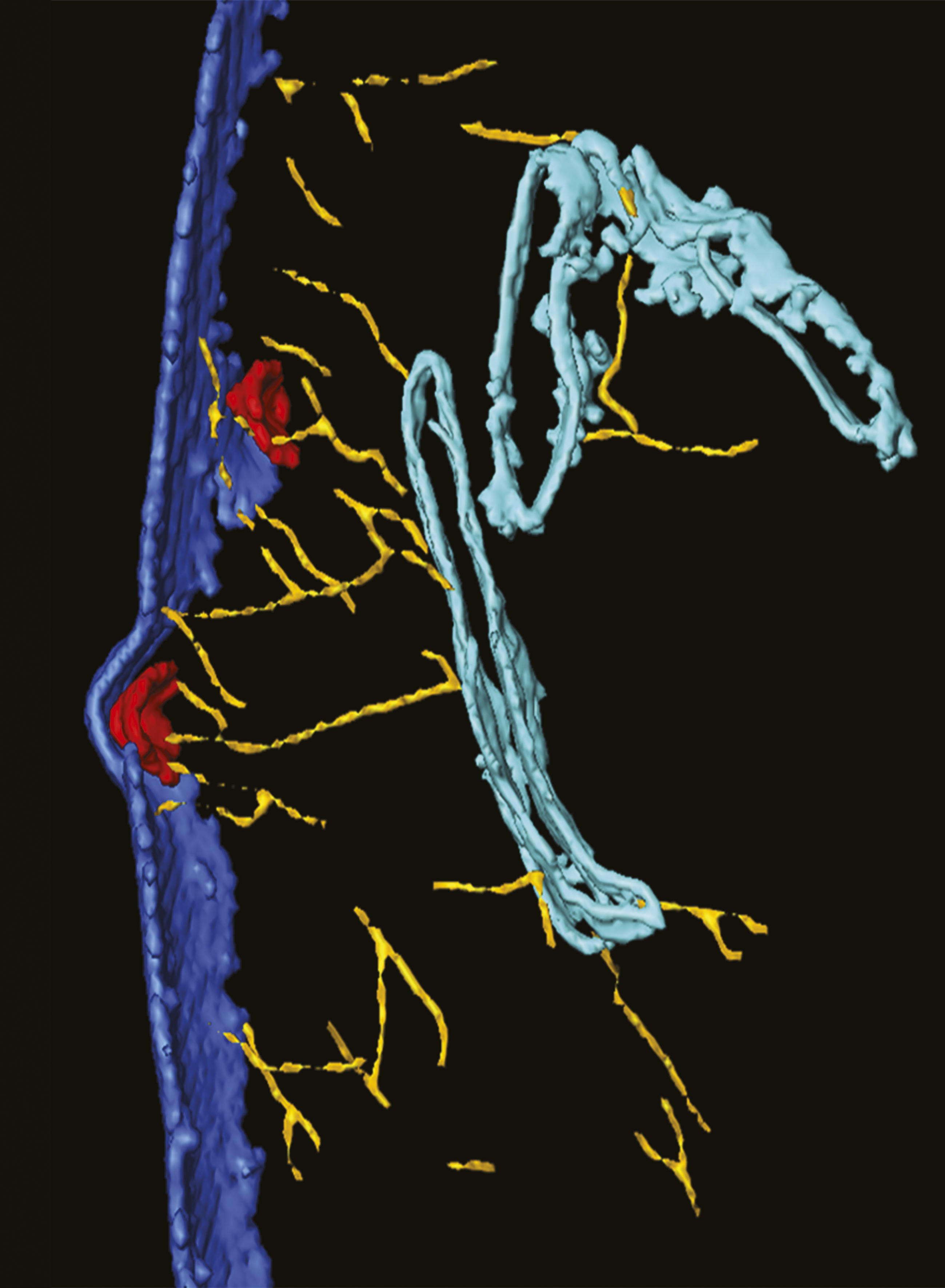 issue cover