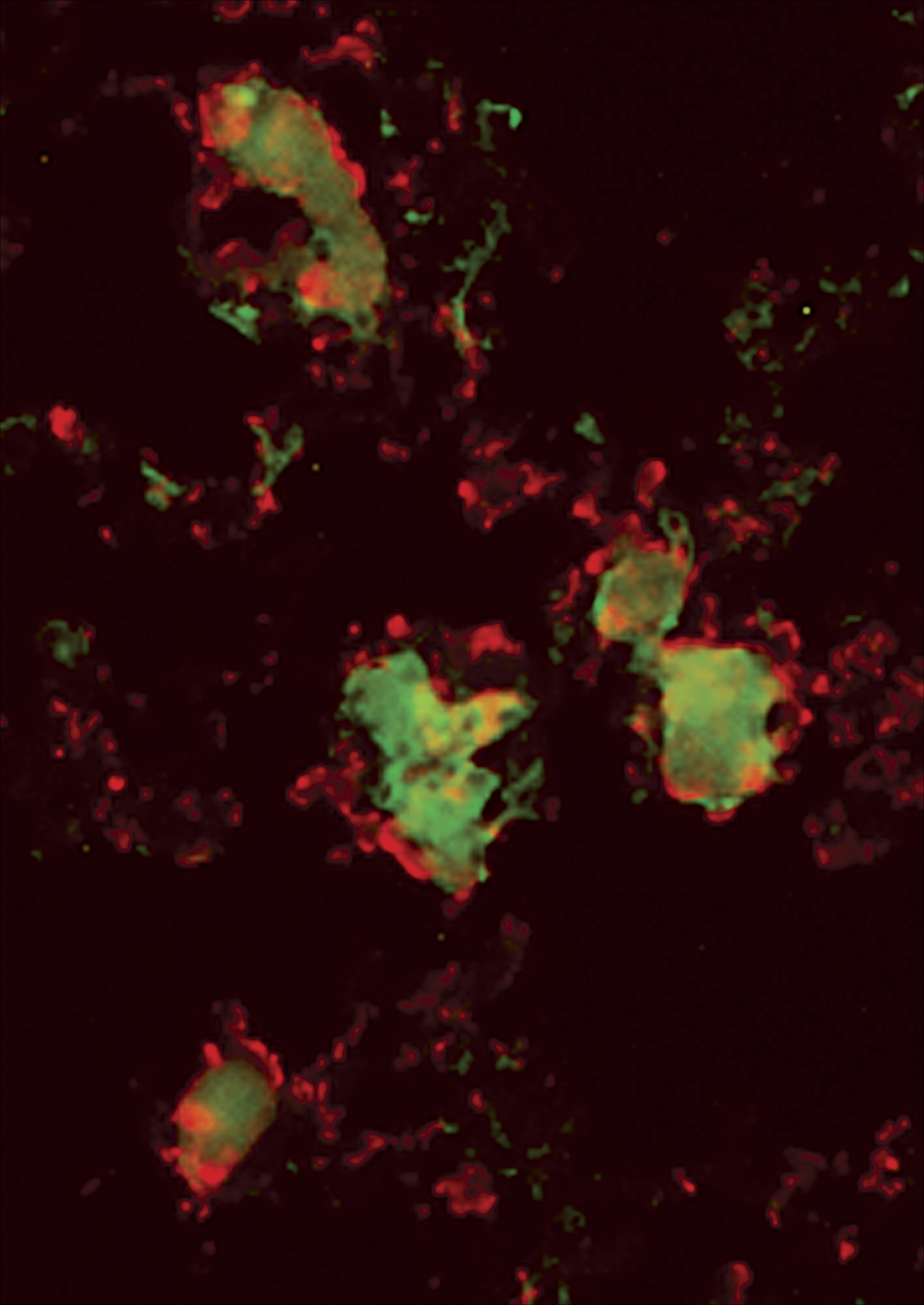 issue cover