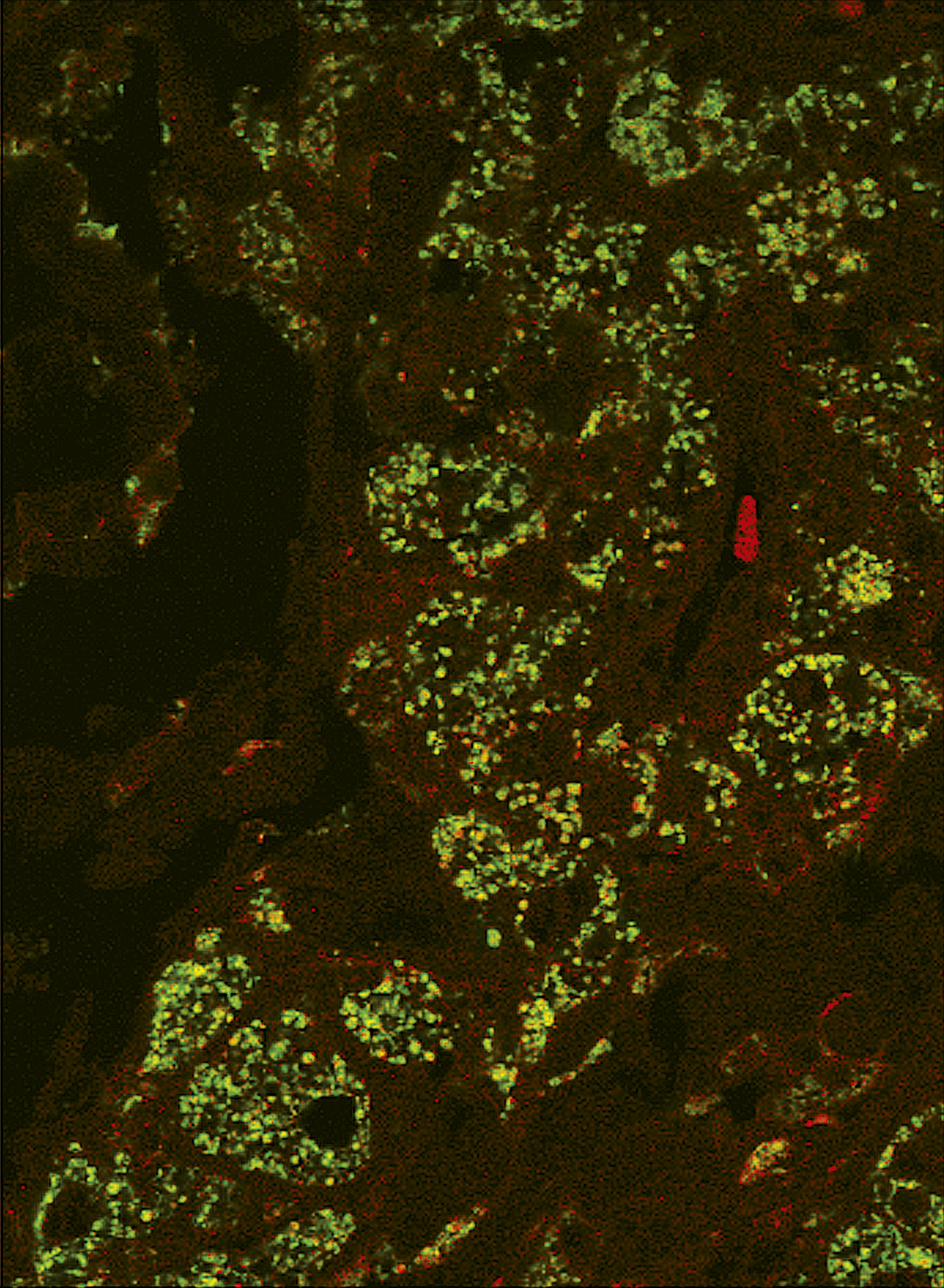 issue cover