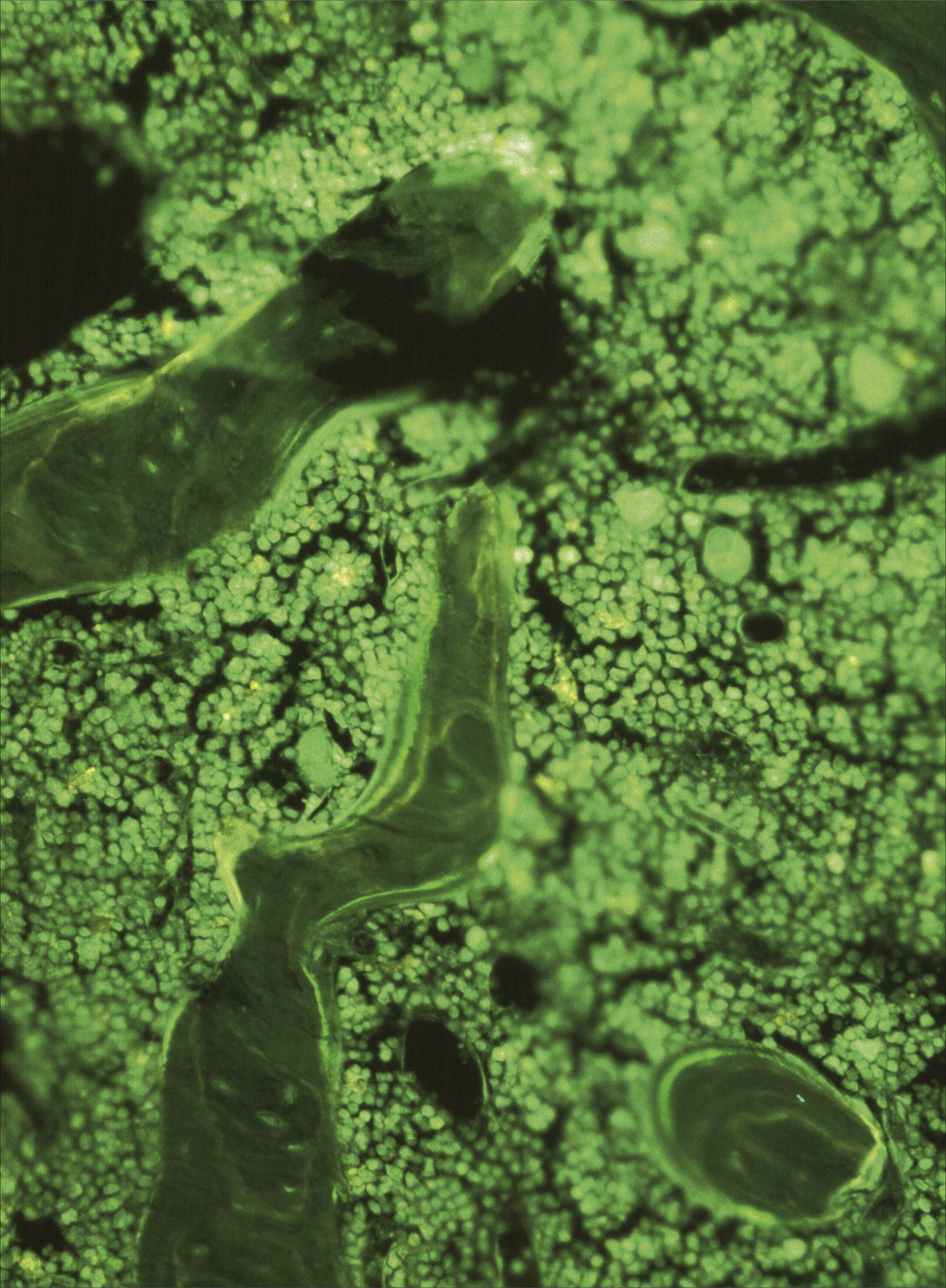 issue cover
