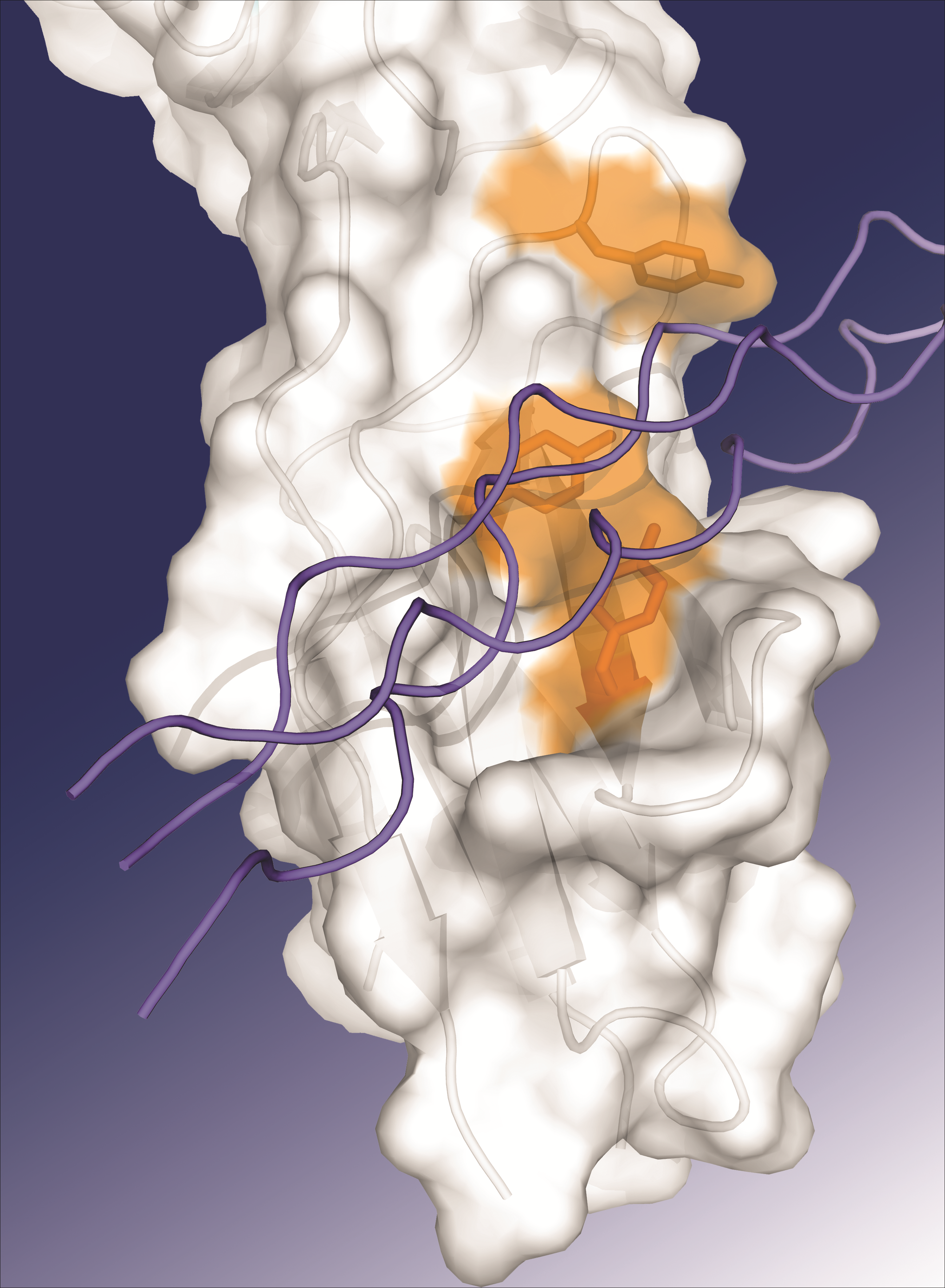 issue cover