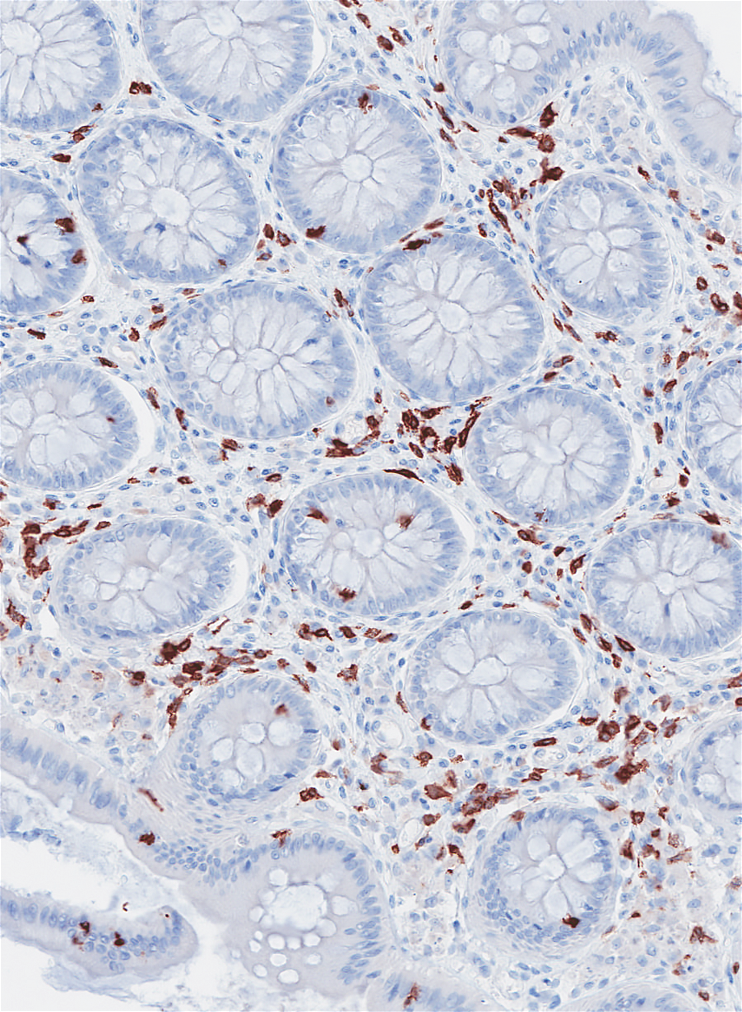 issue cover