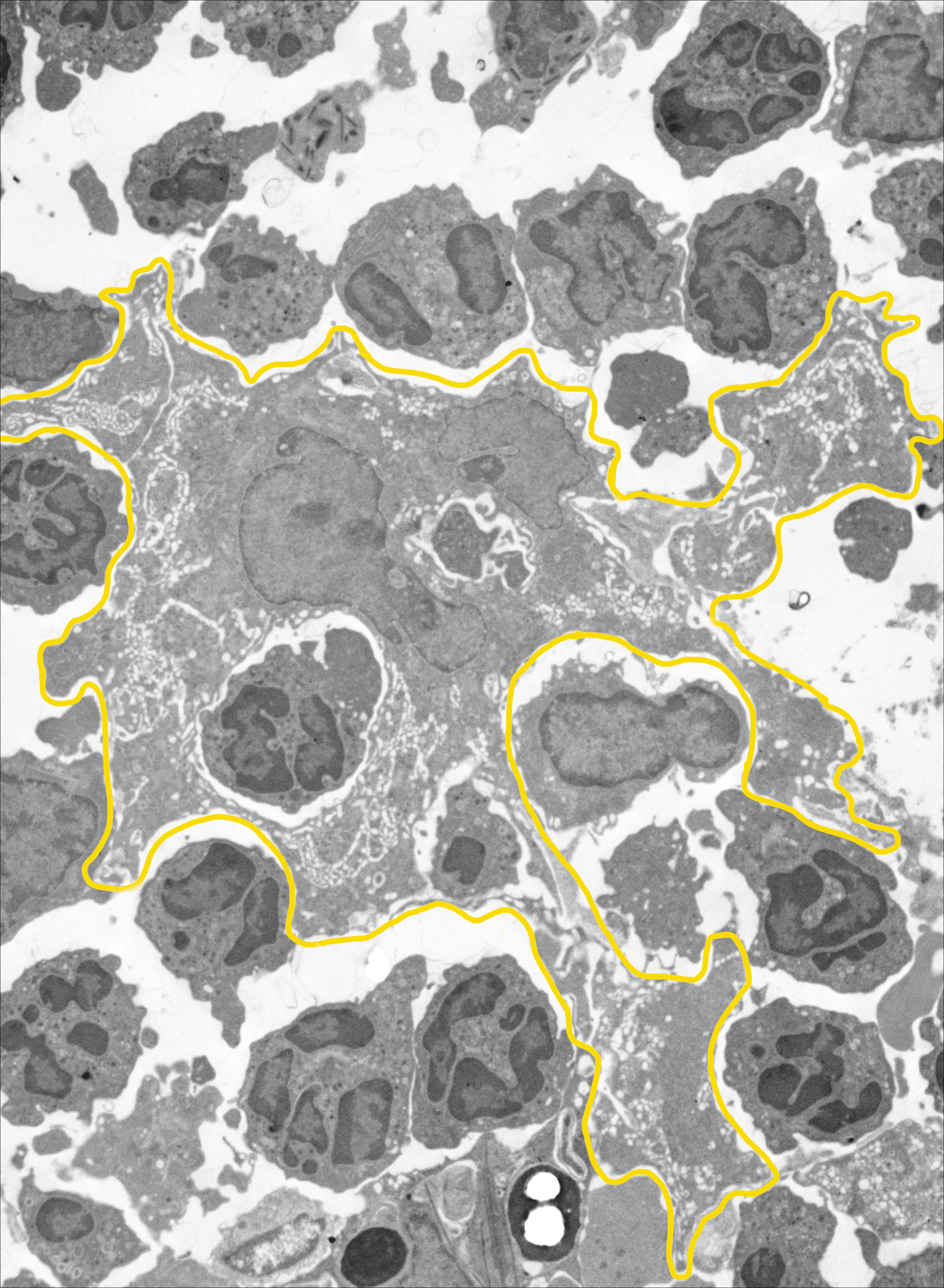 issue cover