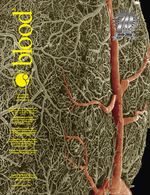 Blood Cover Image for Volume 128, Issue 24