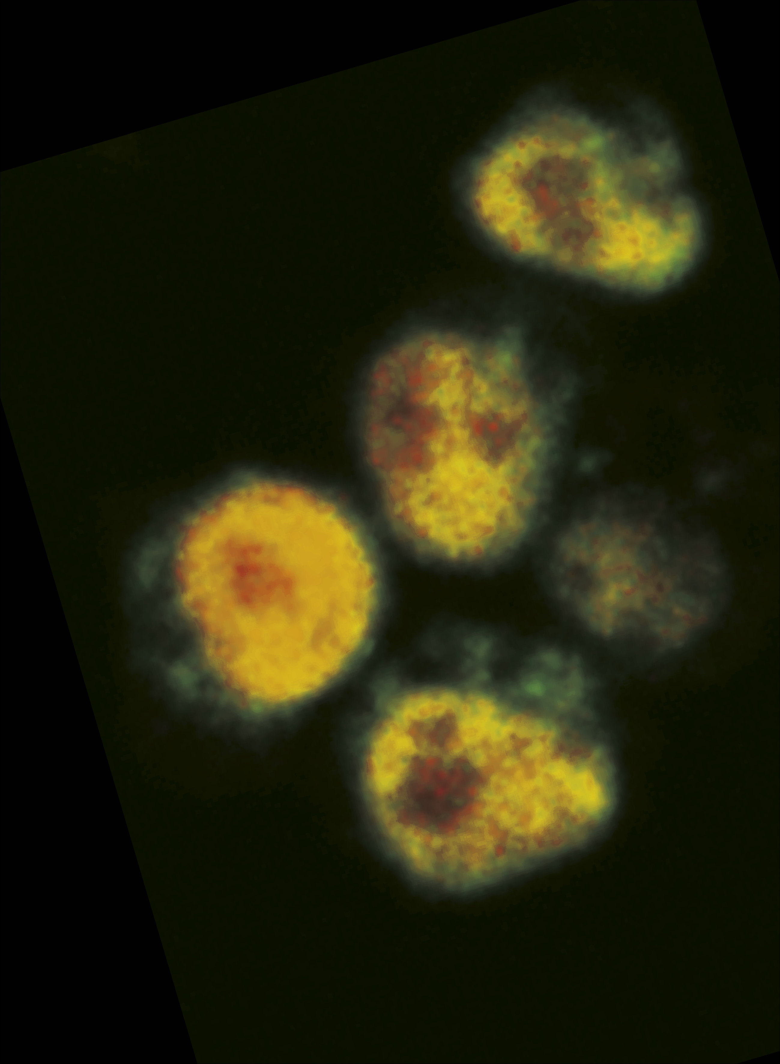 issue cover