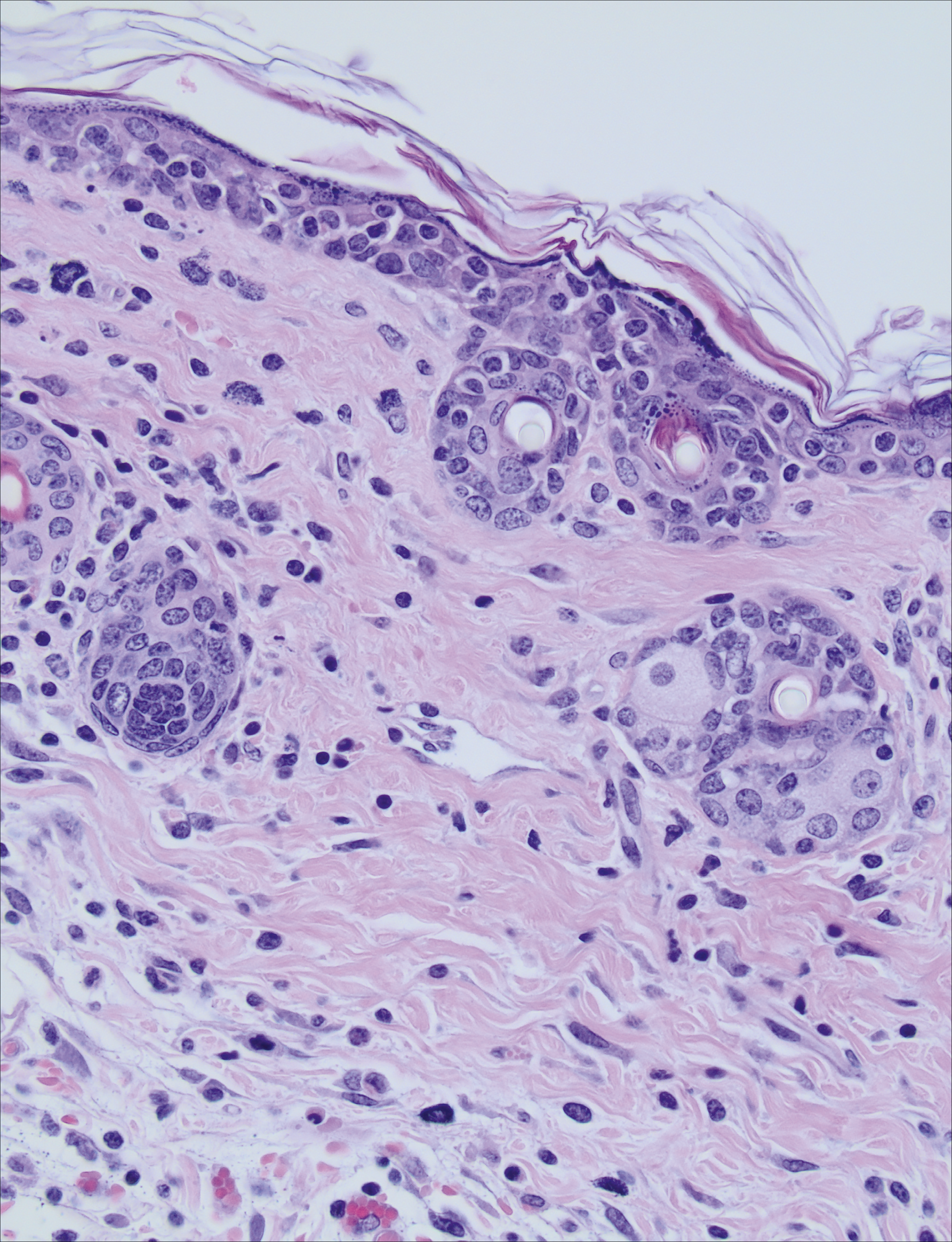 issue cover
