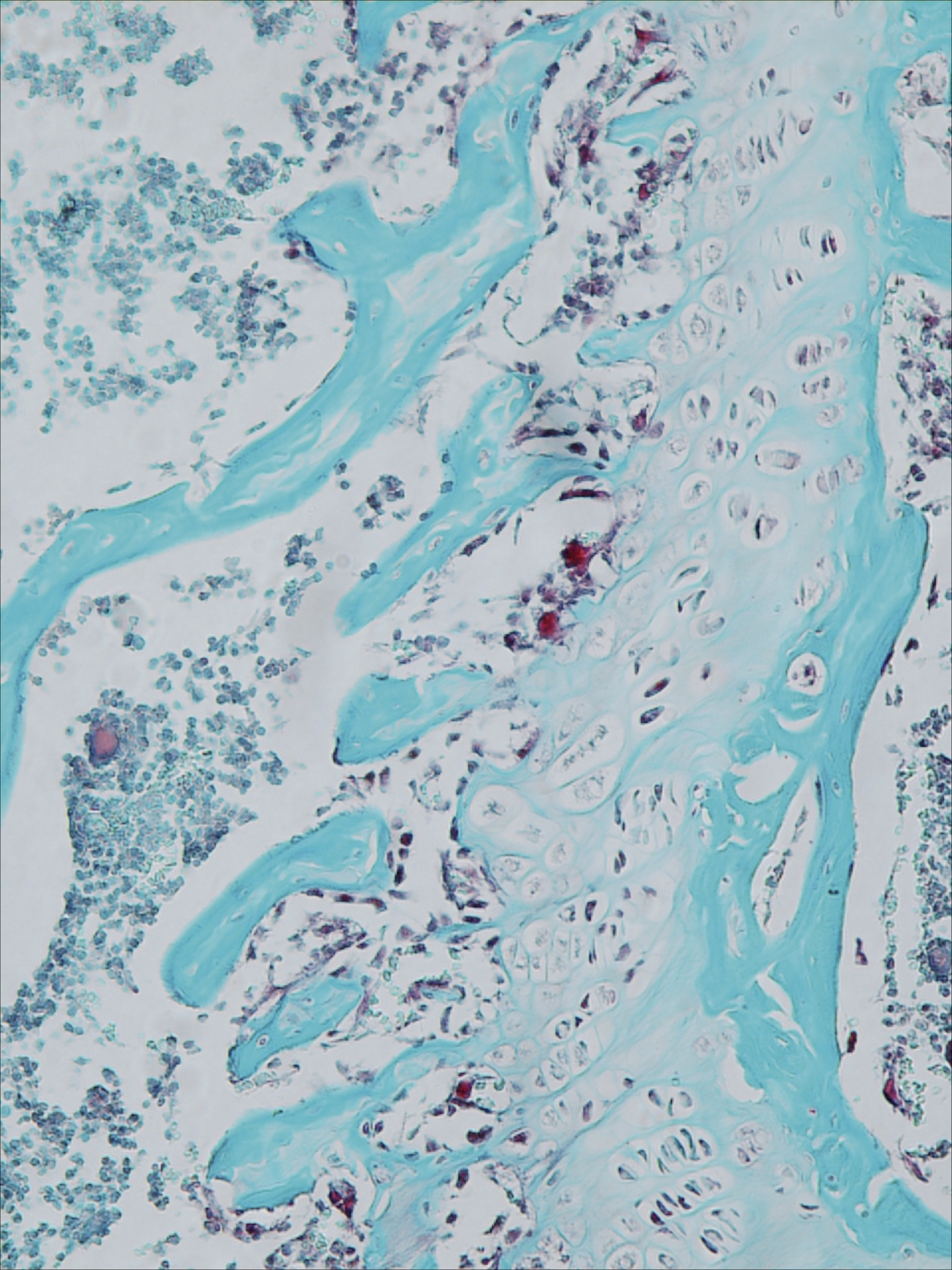 issue cover