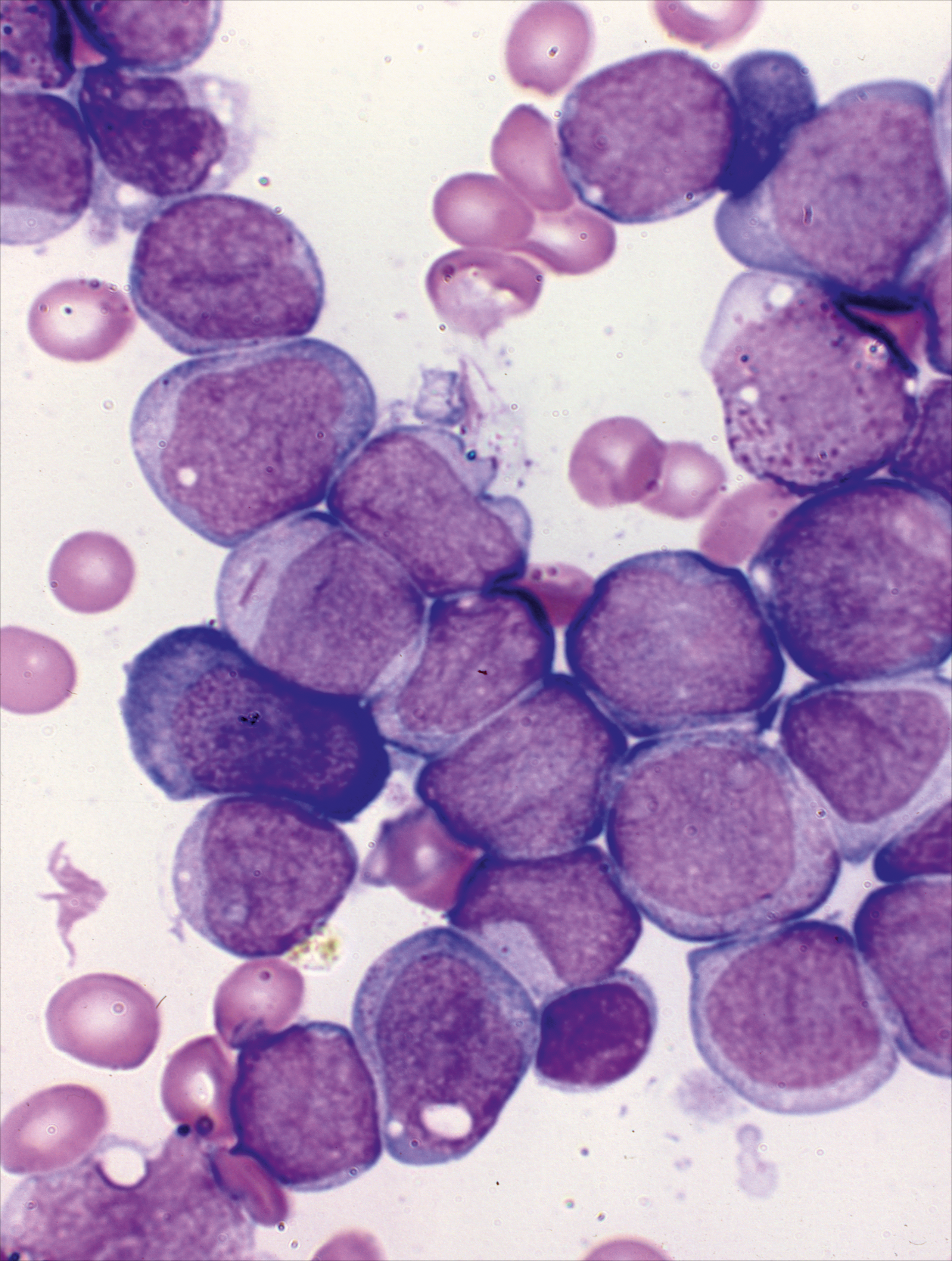 issue cover