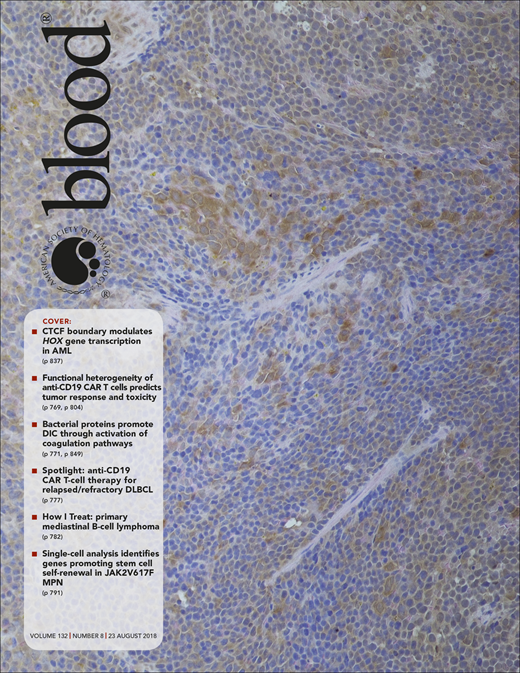 Blood Cover Image for Volume 132, Issue 8