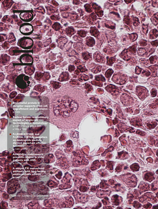 Blood Cover Image for Volume 133, Issue 13