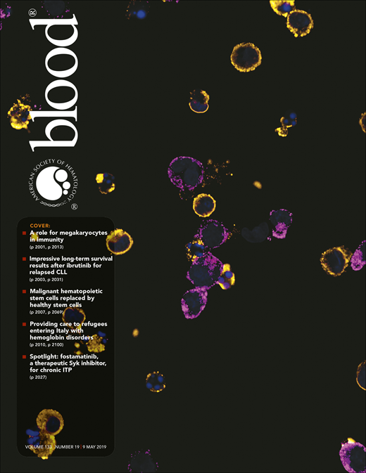 Blood Cover Image for Volume 133, Issue 19