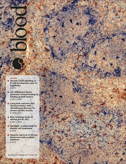 Blood Cover Image for Volume 133, Issue 24