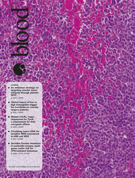 Blood Cover Image for Volume 133, Issue 25