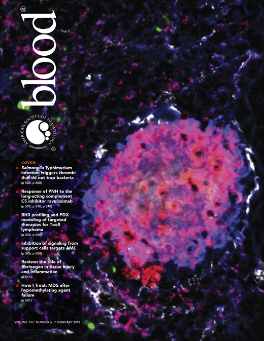 Blood Cover Image for Volume 133, Issue 6