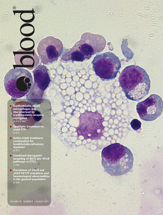 Blood Cover Image for Volume 134, Issue 5