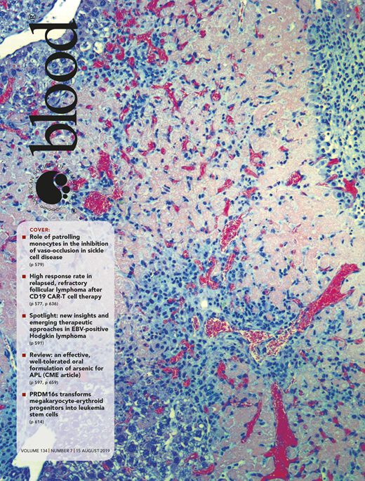 Blood Cover Image for Volume 134, Issue 7