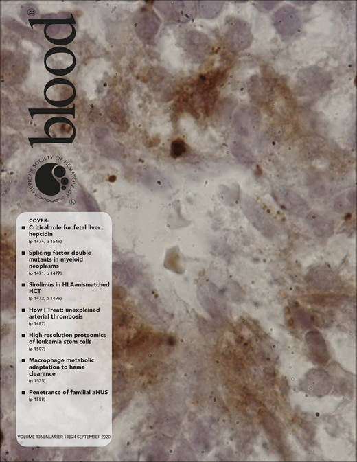 Blood Cover Image for Volume 136, Issue 13