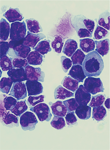 issue cover