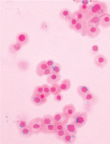 issue cover