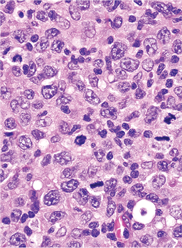 issue cover
