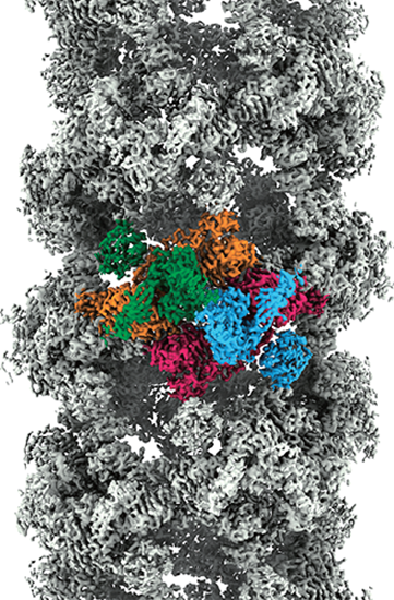 issue cover