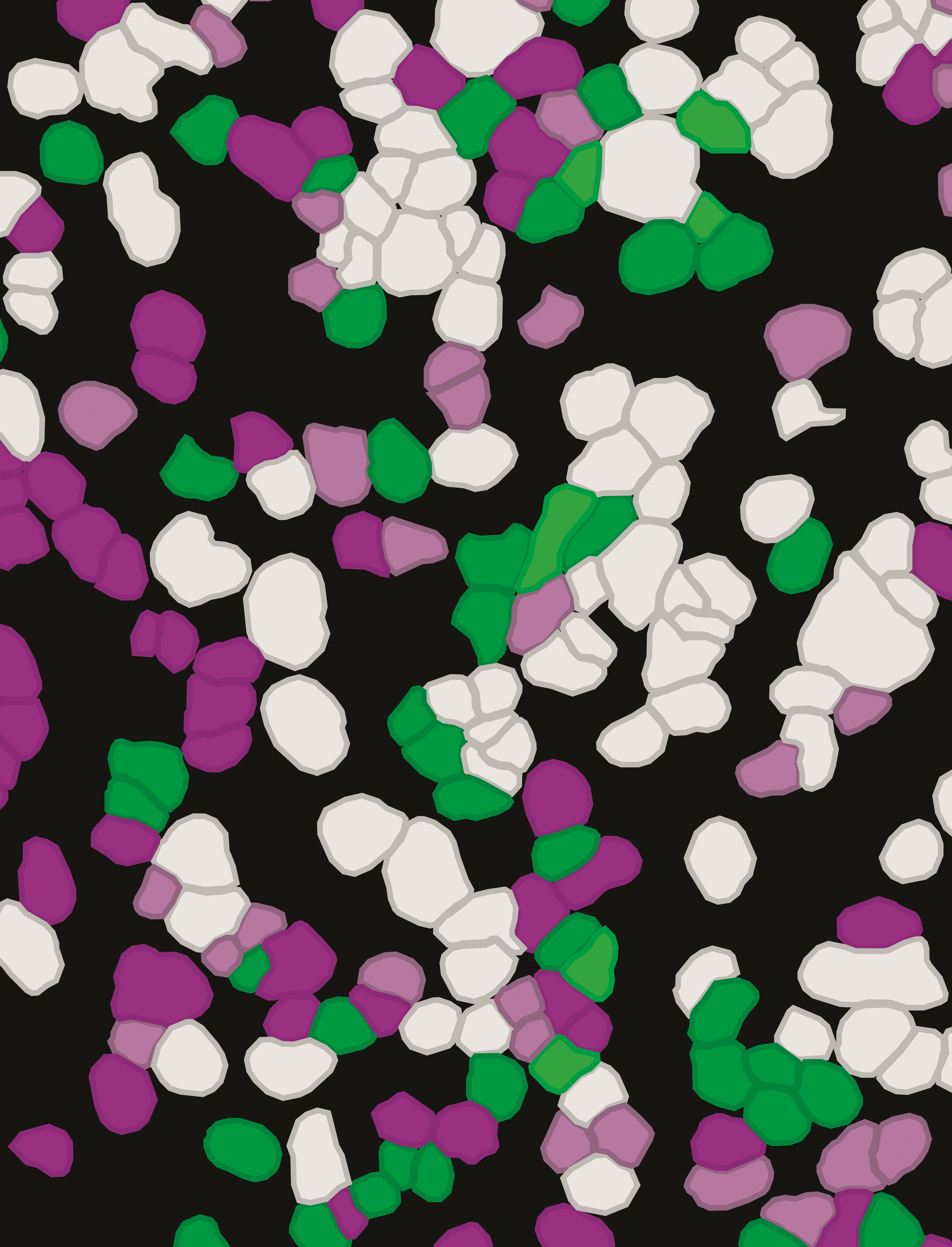 issue cover