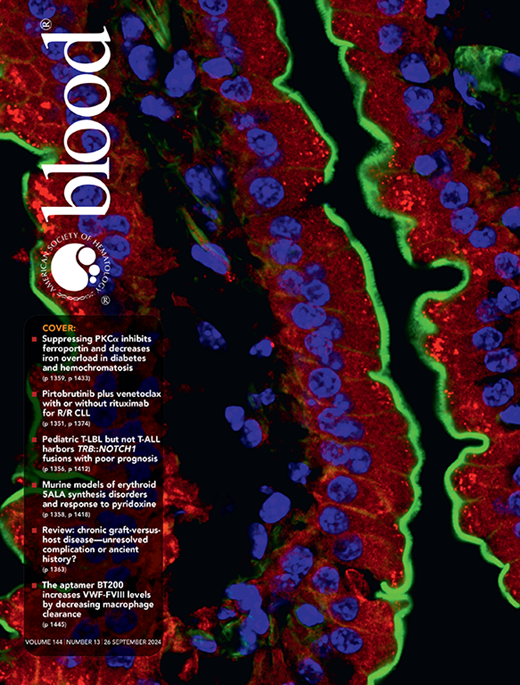 Blood Cover Image for Volume 144, Issue 13